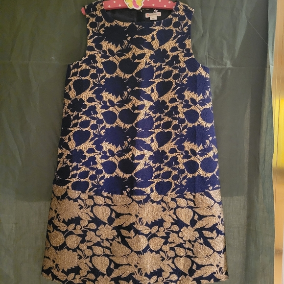 Crewcuts Other - Crewcuts Size 10 dress